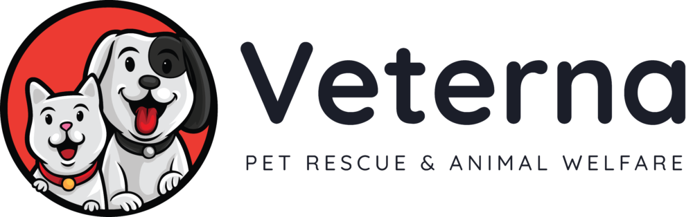 Shaggy Dogs Rescue - 